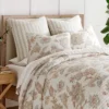 Selesta Blush Euro Sham Set Of 2 - Levtex Home 1 Selesta Blush Euro Sham Set Of 2 - Levtex Home -Levtex Home GUEST 2c07202e 5dbb 487d 9f5b 8ec8405735d1